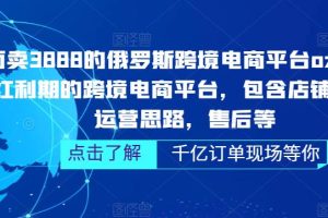 （5245期）俄罗斯跨境电商平台ozon运营，包含店铺申请，运营思路，售后等