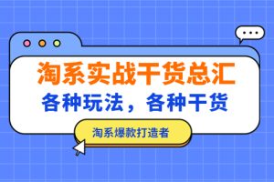 （5067期）淘系实战干货总汇：各种玩法，各种干货，淘系爆款打造者