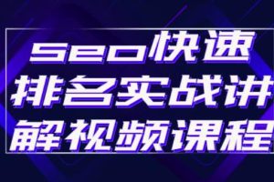 seo快速排名实战讲解视频课程，揭秘seo快排原理