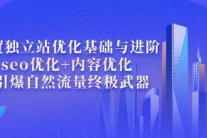 外贸独立站优化基础与进阶，seo优化 内容优化 引爆自然流量终极武器