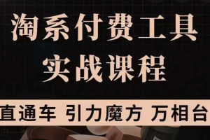 淘系付费工具实战课程【直通车、引力魔方】战略优化，实操演练（价值1299）