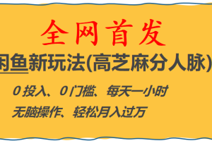 （6301期）全网首发! 闲鱼新玩法(高芝麻分人脉)0投入 0门槛,每天一小时,轻松月入过万