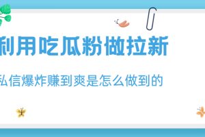 （6650期）利用吃瓜粉做拉新，私信爆炸日入1000+赚到爽是怎么做到的