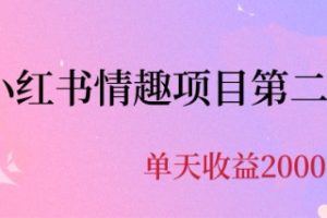 (6648期)最近爆火小红书情趣项目第二版，每天2000+