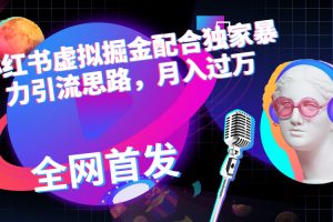 （6643期）小红书虚拟掘金配合独家首发暴力引流思路，月入过万