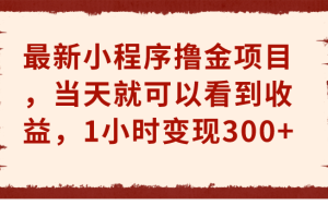 （6885期）最新小程序撸金项目，当天就可以看到收益，1小时变现300+