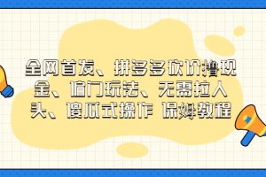（6929期）门玩法，无需拉人头，傻瓜式操作  保姆教程