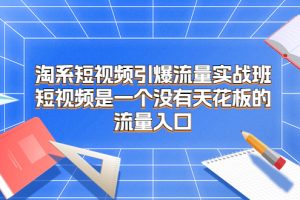 （6956期）淘系短视频引爆流量实战班，​短视频是一个没有天花板的流量入口
