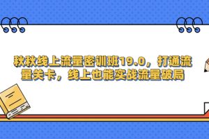 （6955期）秋秋线上流量密训班19.0，打通流量关卡，线上也能实战流量破局
