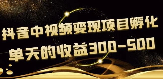 黄岛主抖音中视频变现项目孵化，单天的收益300-500操作简单粗暴