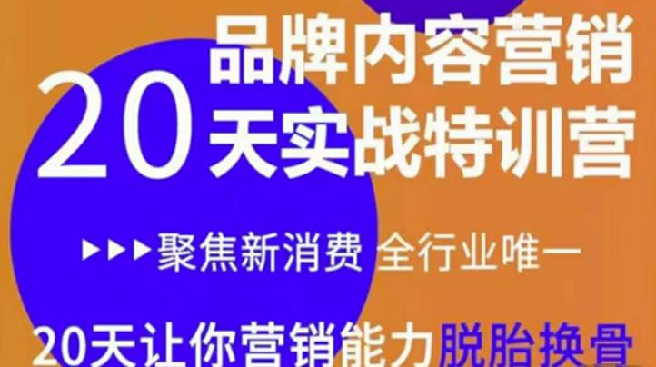 《内容营销实操特训营》20天让你营销能力脱胎换骨（价值3999）