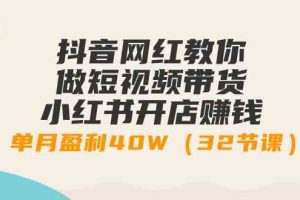 （9135期）抖音网红教你做短视频带货+小红书开店赚钱，单月盈利40W（32节课）