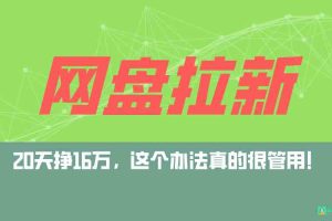 （9373期）网盘拉新+私域全自动玩法，0粉起号，小白可做，当天见收益，已测单日破5000