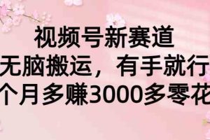 （9278期）视频号新赛道，无脑搬运，有手就行，每个月多赚3000多零花钱