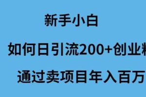 （9668期）新手小白如何日引流200+创业粉通过卖项目年入百万