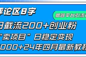 （9851期）评论区8字日载流200+创业粉  日稳定变现5000+24年四月最新教程！