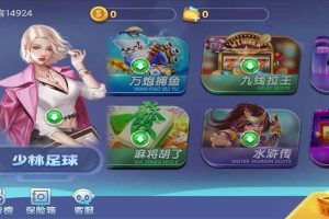 网狐系列 新城娱乐电玩