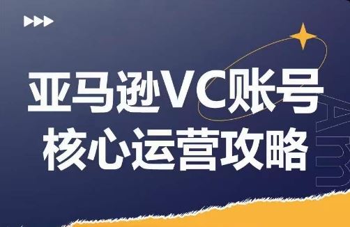 亚马逊VC账号核心玩法解析，实战经验拆解产品模块运营技巧，提升店铺GMV，有效提升运营利润