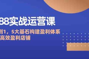 1688实战运营课:从0到1,5大基石构建盈利体系,打造高效盈利店铺