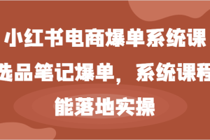 小红书电商爆单系统课-选品笔记爆单,系统课程,能落地实操
