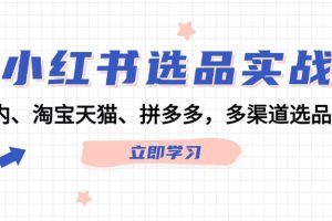 小红书选品实战:站内、淘宝天猫、拼多多,多渠道选品策略