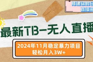 （13243期）最新TB-无人直播 11月最新，打造你的日不落直播间，轻松月入3W+