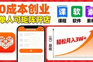 (16047期)拼多多虚拟电商,0成本,单人可矩阵开店,轻松月入3W+