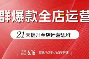 贾真电商群爆款全店运营,21天提升全店运营思维,起店、全店运营爆款不断