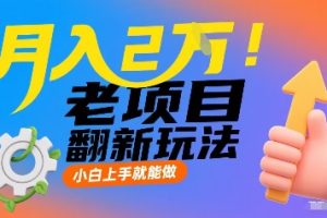 月入2W!老项目翻新玩法,小白上手就能做,非常容易上手