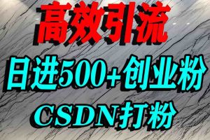 怎么打创业粉?CSDN又一个你不知道的打粉引流神秘平台,单人日引500+精准流量