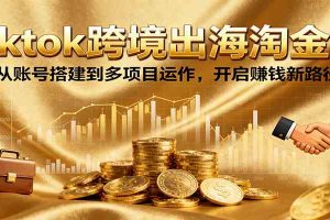 Tiktok跨境出海淘金课，从账号搭建到多项目运作，开启赚钱新路径