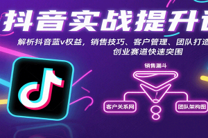 抖音实战提升课:解析抖音蓝v权益,销售技巧、客户管理、团队打造等创业赛道快速突围